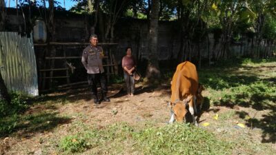 Bhabinkamtibmas Senggigi Dukung Ketahanan Pangan Lokal