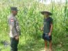 Polres Lombok Barat Dukung Ketahanan Pangan Lewat Pendampingan Warga