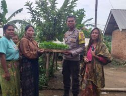Bhabinkamtibmas Mareje Distribusikan Bibit Cabai untuk Ketahanan Pangan