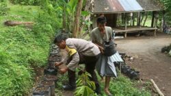 Membangun Ketahanan Pangan dari Pekarangan Rumah, Kisah Inspiratif dari Desa Batulayar (1)