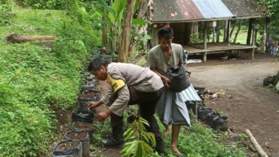 Membangun Ketahanan Pangan dari Pekarangan Rumah, Kisah Inspiratif dari Desa Batulayar (1)