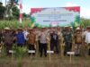 Panen Raya Jagung Serentak Dukung Swasembada Pangan di Lombok Barat