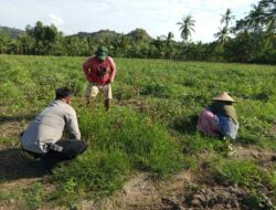 Bhabinkamtibmas Sekotong Barat Dukung Ketahanan Pangan Warga Aik Senin