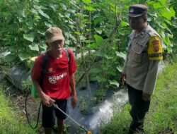 Polri dan Petani Montong Are Sinergi Wujudkan Ketahanan Pangan