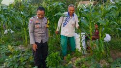Sinergi Polri dan Petani Tingkatkan Ketahanan Pangan di Kuripan Utara