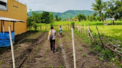 Polri Aktif di Ladang Petani Kediri, Dorong Kesejahteraan dan Ketahanan Pangan