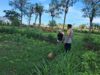 Polri Dorong Pertanian Produktif di Desa Pelangan, Sekotong