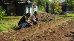 Polri Dukung Ketahanan Pangan Desa Senteluk, Lombok Barat