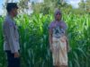 Bhabinkamtibmas Gerung Dukung Ketahanan Pangan Lewat Sambang Petani