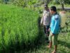 Bhabinkamtibmas Dorong Ketahanan Pangan di Montong Are, Lombok Barat