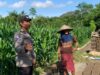Bhabinkamtibmas Gerung Dukung Ketahanan Pangan di Aik Ampat