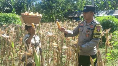 Bangun Pagi: Rahasia Sukses dan Bahagia Terungkap?