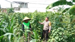 Bhabinkamtibmas Ajak Warga Optimalkan Pekarangan untuk Ketahanan Pangan di Labuapi