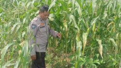 Polisi Dukung Petani: Sinergi Jaga Kamtibmas dan Pangan di Desa Beleka