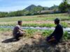 Bhabinkamtibmas Desa Talonang Baru Dukung Ketahanan Pangan Lewat Pendampingan Petani Buah