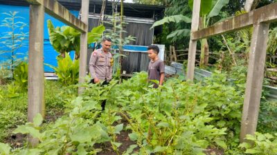 Polres Loteng Tinjau Pekarangan Lahan Bergizi Milik Warga di Desa Labulia.