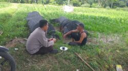 Polres Lombok Barat Dukung Petani Wujudkan Ketahanan Pangan di Lembar