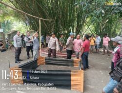 Polsek Plampang Bubarkan Kembali Kegiatan Sabung Ayam di Desa Pemasar 