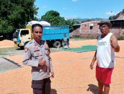 Dukung Program Prioritas Presiden, Bhabinkamtibmas Polsek Bolo Cek dan Bantu Jemur Jagung Warga