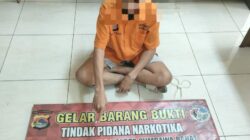 Polres Sumbawa Barat Kembali Ringkus Bandar Miliki 50 Gram Sabu