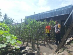 Bhabinkamtibmas Desa Luk Dorong Pemanfaatan Pekarangan untuk Ketahanan Pangan