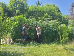 Bhabinkamtibmas Desa Luk Dorong Warga Manfaatkan Lahan untuk Ketahanan Pangan