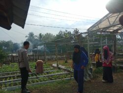 Bhabinkamtibmas Desa Goa Dampingi Warga Wujudkan Ketahanan Pangan Lewat Pekarangan Bergizi