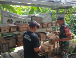 Babinsa Tamansari Dampingi Peternak Madu Trigona di Gunungsari
