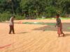 Pantau dan Bantu Kegiatan Petani di Desa Binaan Bhabinkamtibmas Polsek Soromandi Dukung Penuh Program Ketahanan Pangan Nasional