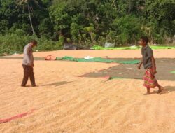 Pantau dan Bantu Kegiatan Petani di Desa Binaan Bhabinkamtibmas Polsek Soromandi Dukung Penuh Program Ketahanan Pangan Nasional