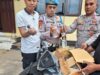 Polsek Langgudu Amankan Puluhan Botol Miras Tradisional Siap Edar