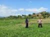 Mendukung Program Ketahanan Pangan Nasional, Bhabinkamtibmas Polsek Woha Pantau Lahan Sayur Milik Warga Binaan