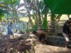 Bhabinkamtibmas Kelurahan Rite Gotong Royong Bersama Warga Bersihkan Parit Cegah DBD