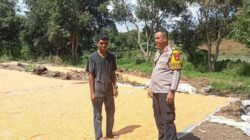 Dukung Penuh Program Prioritas Presiden RI, Bhabinkamtibmas Polsek Soromandi Aktif Bantu Kegiatan Petani