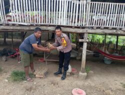 Jelang Hari Bhayangkara ke-79, Brigadir Kamaludin Bagikan 100 Bibit Ternak dan 1.000 Bibit Tanaman Bergizi kepada Warga Desa Sermong