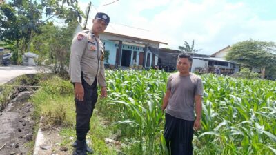 Bhabinkamtibmas Labuapi Dorong Pemanfaatan Lahan Kosong untuk Ketahanan Pangan