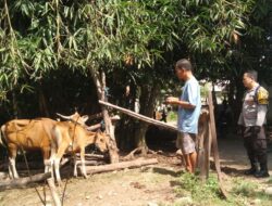 Dusun Melase Gerakkan Ketahanan Pangan dari Pekarangan