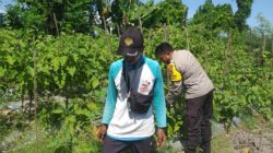 Polsek Kuripan Dorong Ketahanan Pangan di Desa Jagaraga