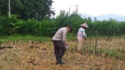 Sinergi Polri dan Warga Jagaraga Kembangkan Ketahanan Pangan Keluarga