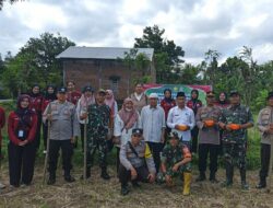 Polsek Batulayar Tanam Jagung Serentak di Sandik, Dorong Swasembada Pangan 2025
