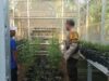 Polsek Batulayar Dorong Ketahanan Pangan Warga Desa Sandik