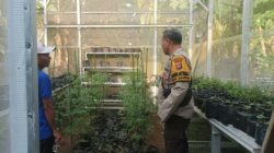 Polsek Batulayar Dorong Ketahanan Pangan Warga Desa Sandik