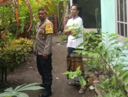 Desa Beleka Dorong Kemandirian Pangan Lewat Peran Bhabinkamtibmas