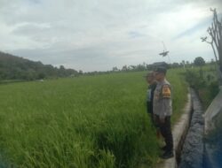 Bhabinkamtibmas Desa Rhee Dukung Ketahanan Pangan dengan Memotivasi Warga Manfaatkan Pekarangan