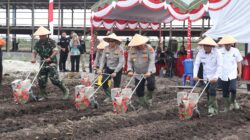 Sukseskan Ketahanan Pangan Nasional, Polda Kalteng dan Polresta Palangka Raya Tanaman Jagung di Rakumpit