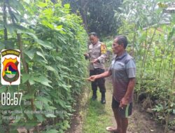Wujudkan Ketahanan Pangan, Bhabinkamtibmas dan Warga Desa Luk Ubah Pekarangan Jadi Kebun Produktif