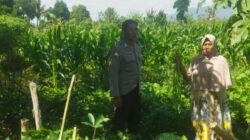 Bhabinkamtibmas Desa Kediri Dorong Ketahanan Pangan Bersama Petani Karang Kuripan