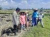 Bhabinkamtibmas Montong Are Dorong Ketahanan Pangan Lewat Pendampingan Petani