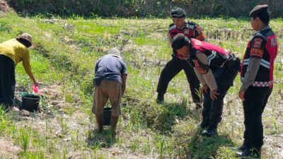 Polres Lombok Barat Dukung Ketahanan Pangan Lewat Patroli Humanis di Desa Kuripan