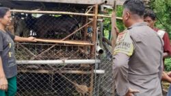 Bhabinkamtibmas Senggigi Dorong Warga Krandangan Manfaatkan Lahan Kosong untuk Ketahanan Pangan